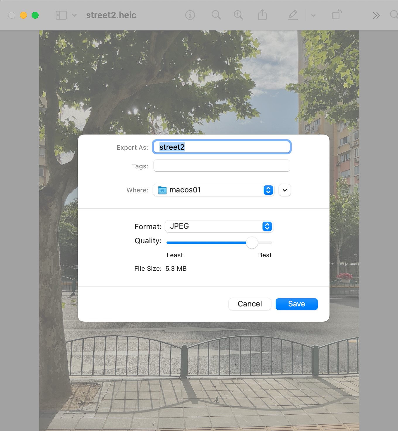 Preview Export dialog showing JPEG selected as the format with quality slider